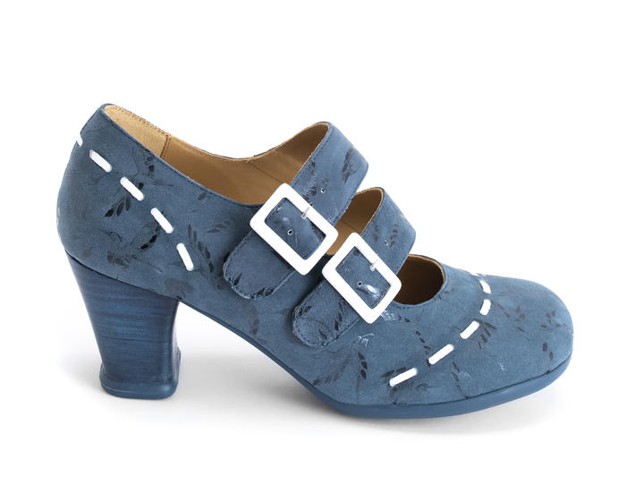 Cavalieri blue / birds