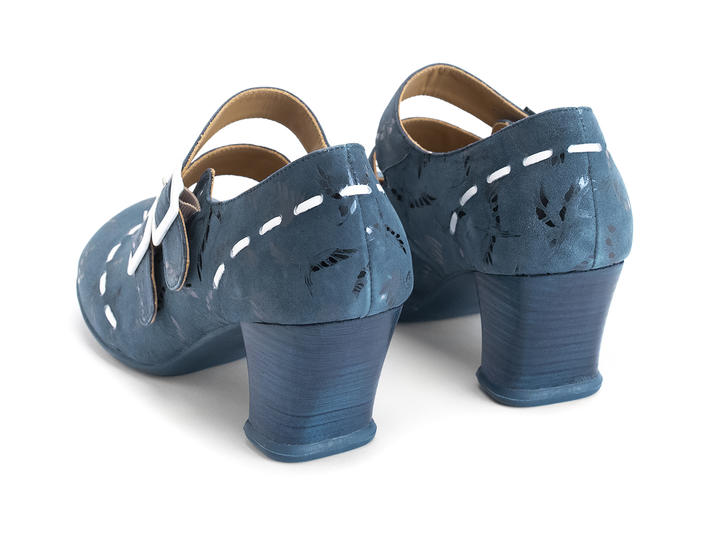 Cavalieri blue / birds